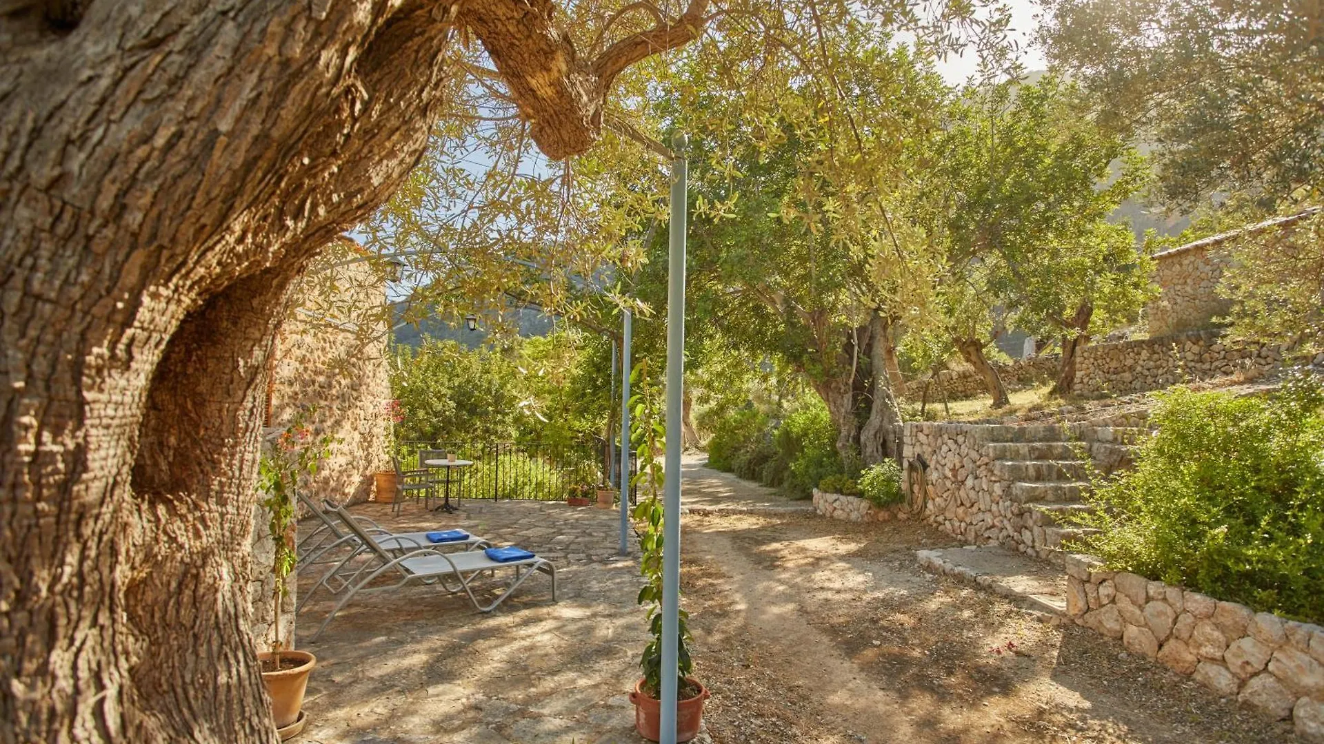 Agroturismo Alqueria Blanca Bunyola