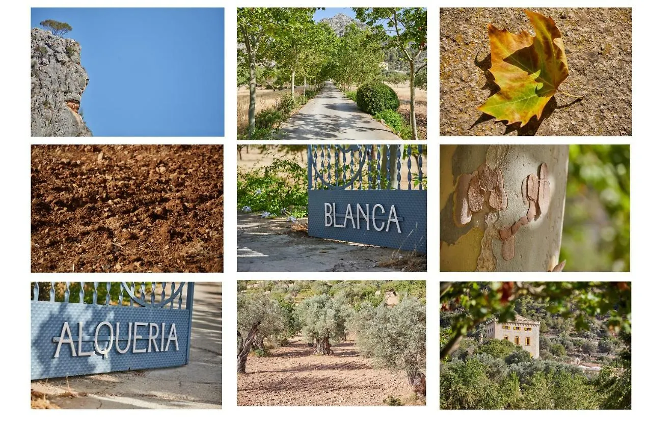 Agroturismo Alqueria Blanca Bunyola